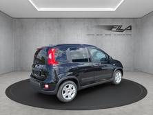 FIAT PANDA 1.0 Hybrid City Life, Mild-Hybrid Petrol/Electric, Ex-demonstrator, Manual - 5
