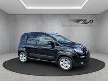 FIAT PANDA 1.0 Hybrid City Life, Mild-Hybrid Petrol/Electric, Ex-demonstrator, Manual - 6