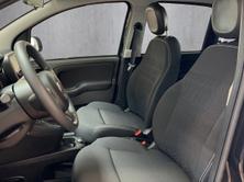 FIAT PANDA 1.0 Hybrid City Life, Mild-Hybrid Petrol/Electric, Ex-demonstrator, Manual - 7