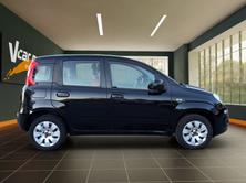 FIAT Panda Van 1.2 Pop, Benzin, Occasion / Gebraucht, Handschaltung - 6
