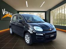 FIAT Panda Van 1.2 Pop, Benzin, Occasion / Gebraucht, Handschaltung - 7