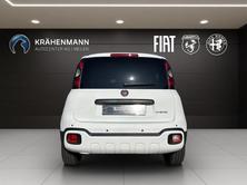 FIAT Pandina 1.0 Hybrid Cross, Hybride Léger Essence/Électricité, Voiture nouvelle, Manuelle - 4