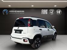 FIAT Pandina 1.0 Hybrid Cross, Hybride Léger Essence/Électricité, Voiture nouvelle, Manuelle - 5