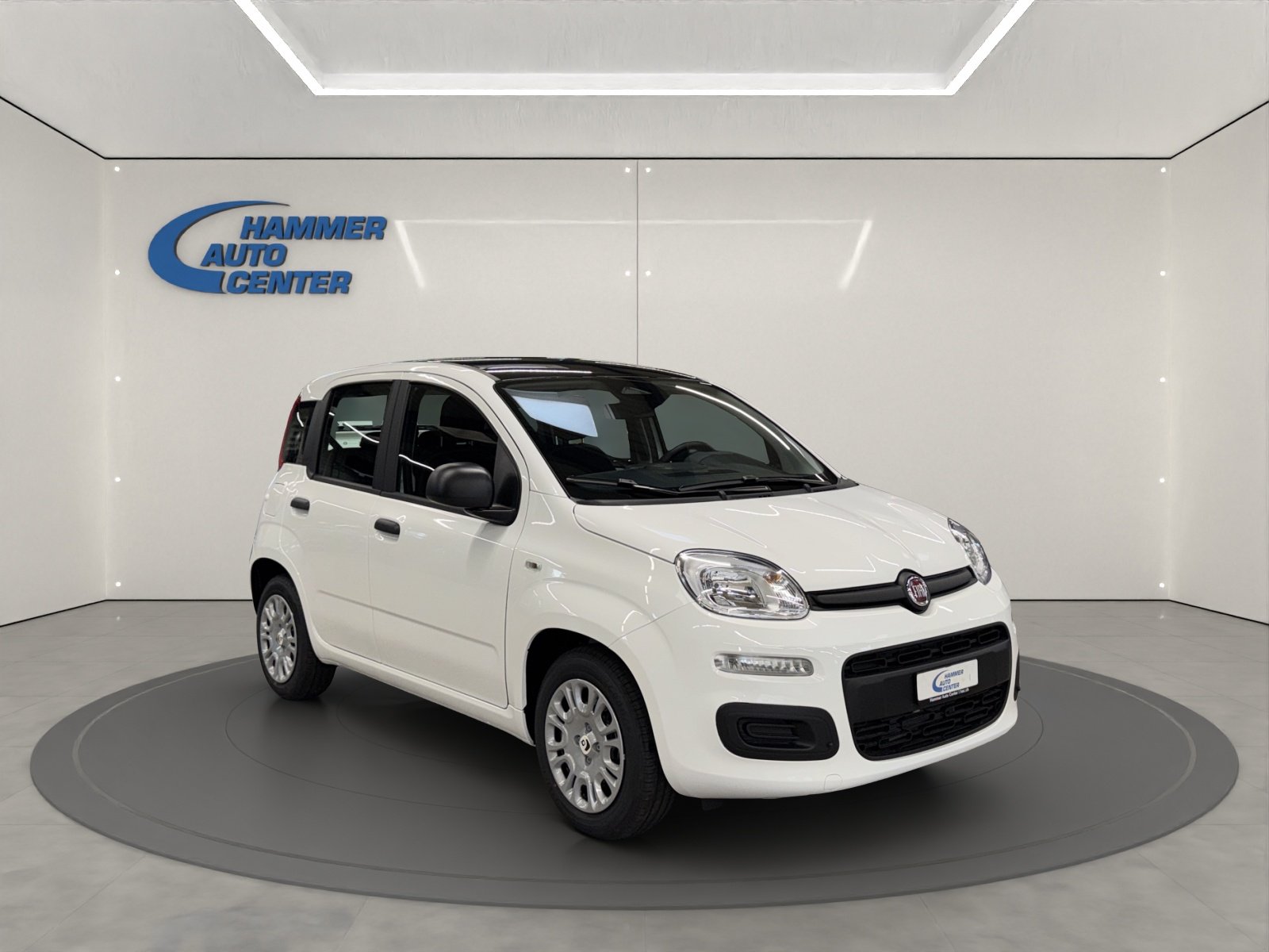 FIAT Pandina 1.0 Hybrid Icon, Hybride Leggero Benzina/Elettrica, Auto nuove, Manuale - 7