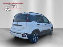 FIAT Pandina 1.0 MHEV Cross, Petrol, New car, Manual - 4