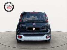 FIAT Pandina 1.0 MHEV Cross, Mild-Hybrid Petrol/Electric, New car, Manual - 5