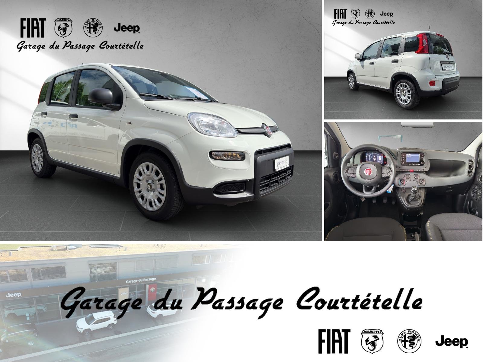 FIAT PANDINA