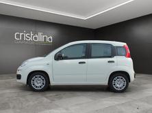 FIAT Pandina 1.0 Hybrid Pop, Hybride Leggero Benzina/Elettrica, Occasioni / Usate, Manuale - 2