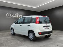 FIAT Pandina 1.0 Hybrid Pop, Hybride Leggero Benzina/Elettrica, Occasioni / Usate, Manuale - 3