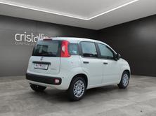 FIAT Pandina 1.0 Hybrid Pop, Hybride Leggero Benzina/Elettrica, Occasioni / Usate, Manuale - 4