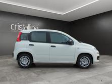 FIAT Pandina 1.0 Hybrid Pop, Hybride Leggero Benzina/Elettrica, Occasioni / Usate, Manuale - 5