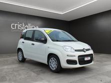 FIAT Pandina 1.0 Hybrid Pop, Hybride Leggero Benzina/Elettrica, Occasioni / Usate, Manuale - 6