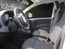 FIAT Pandina 1.0 Hybrid Pop, Hybride Leggero Benzina/Elettrica, Occasioni / Usate, Manuale - 7