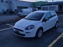 FIAT Punto 1.2 Young, Petrol, Second hand / Used, Manual - 2