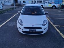 FIAT Punto 1.2 Young, Petrol, Second hand / Used, Manual - 3