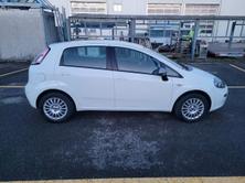 FIAT Punto 1.2 Young, Petrol, Second hand / Used, Manual - 7