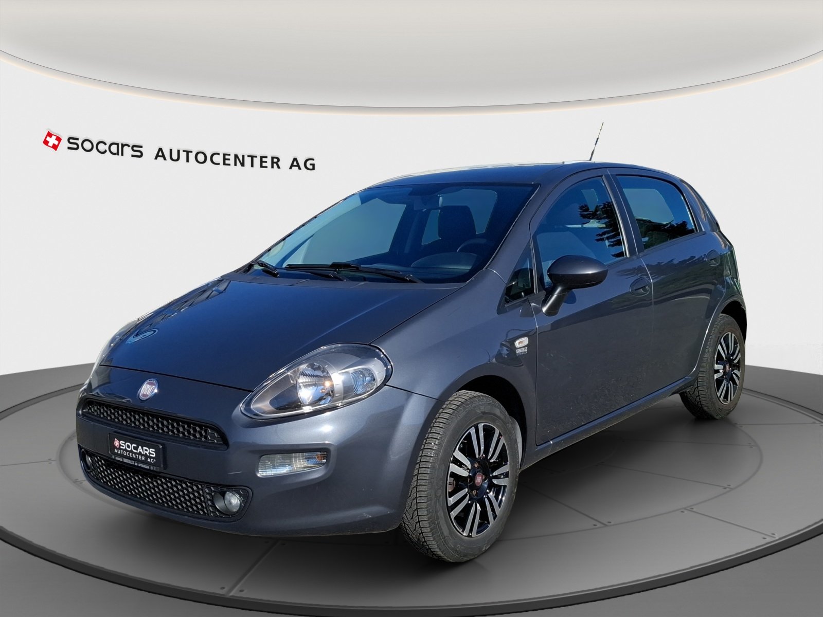 FIAT Punto 1.4 Pop Star // MFK 24.06.2025 // Zahnriemen + Wa
