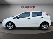 FIAT Punto 1.2 Young, Benzin, Occasion / Gebraucht, Handschaltung - 3