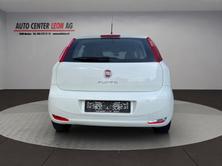 FIAT Punto 1.2 Young, Benzin, Occasion / Gebraucht, Handschaltung - 5