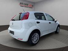FIAT Punto 1.2 Young, Benzin, Occasion / Gebraucht, Handschaltung - 6