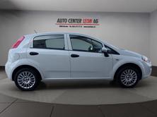 FIAT Punto 1.2 Young, Benzin, Occasion / Gebraucht, Handschaltung - 7