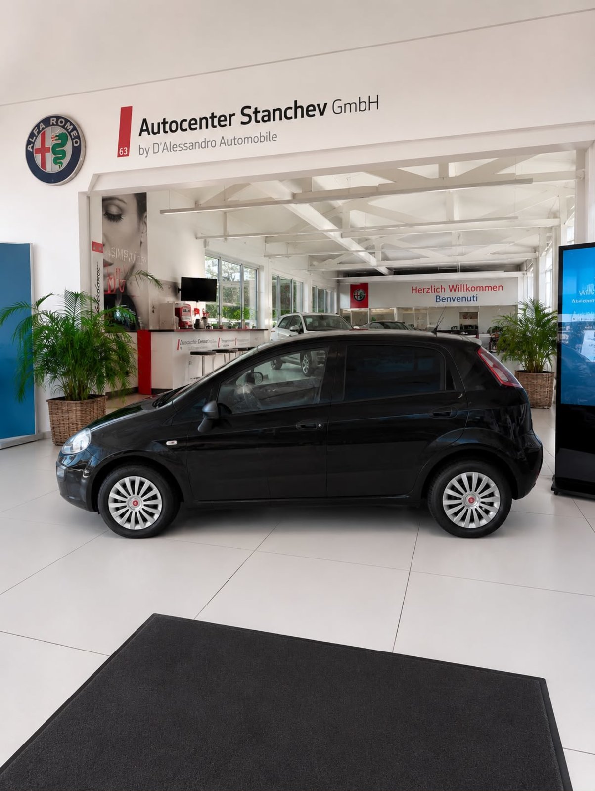 FIAT Punto Evo 1.4 MyLife, Benzina, Occasioni / Usate, Manuale - 2