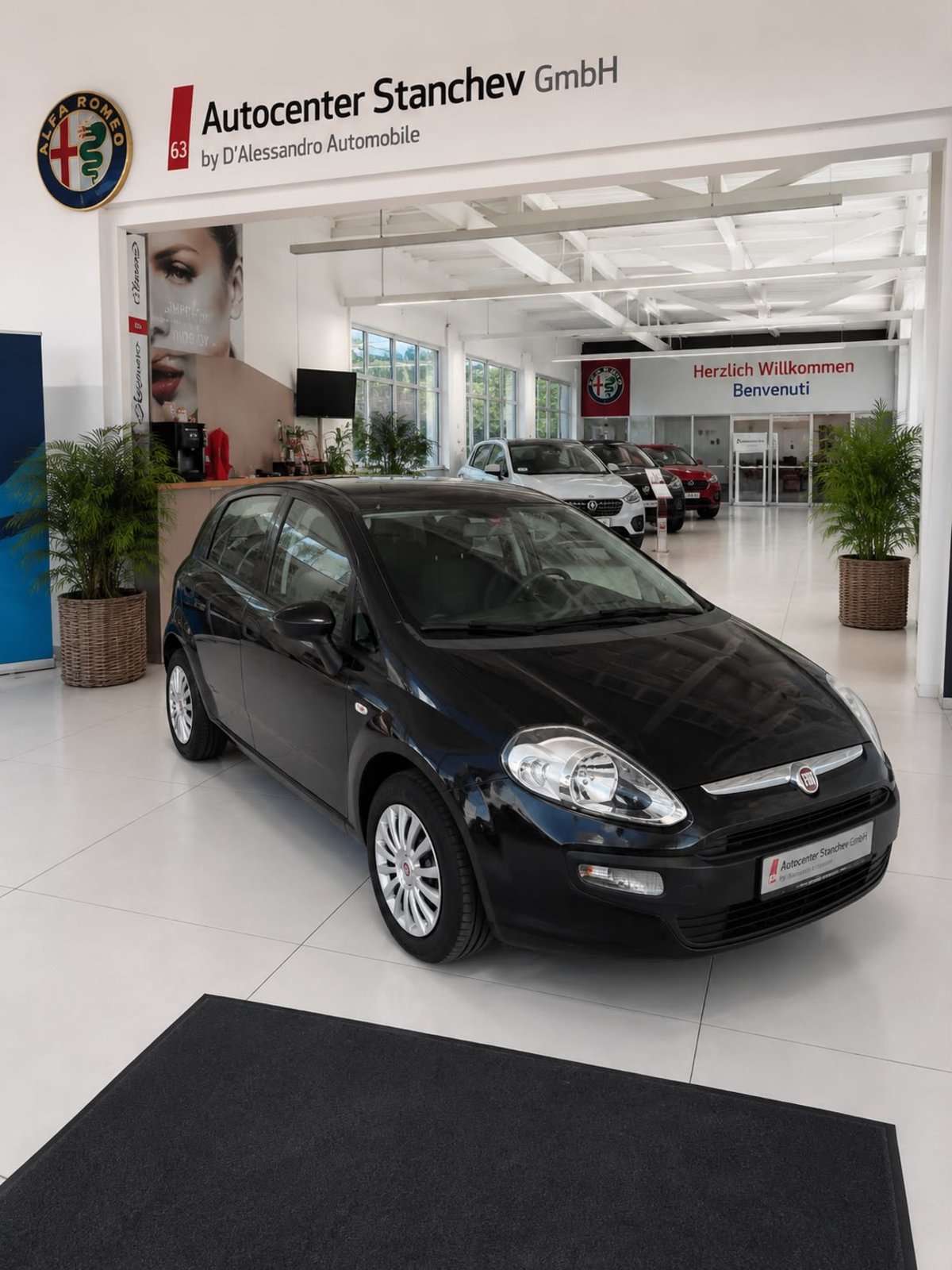 FIAT Punto Evo 1.4 MyLife, Benzina, Occasioni / Usate, Manuale - 3