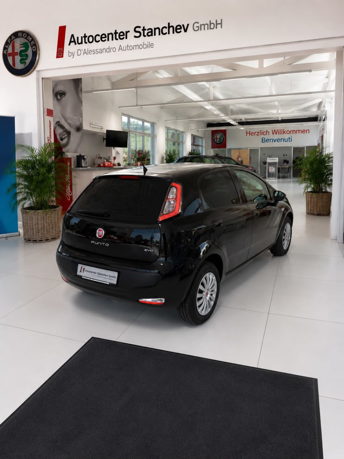 FIAT Punto Evo 1.4 MyLife, Benzina, Occasioni / Usate, Manuale - 4