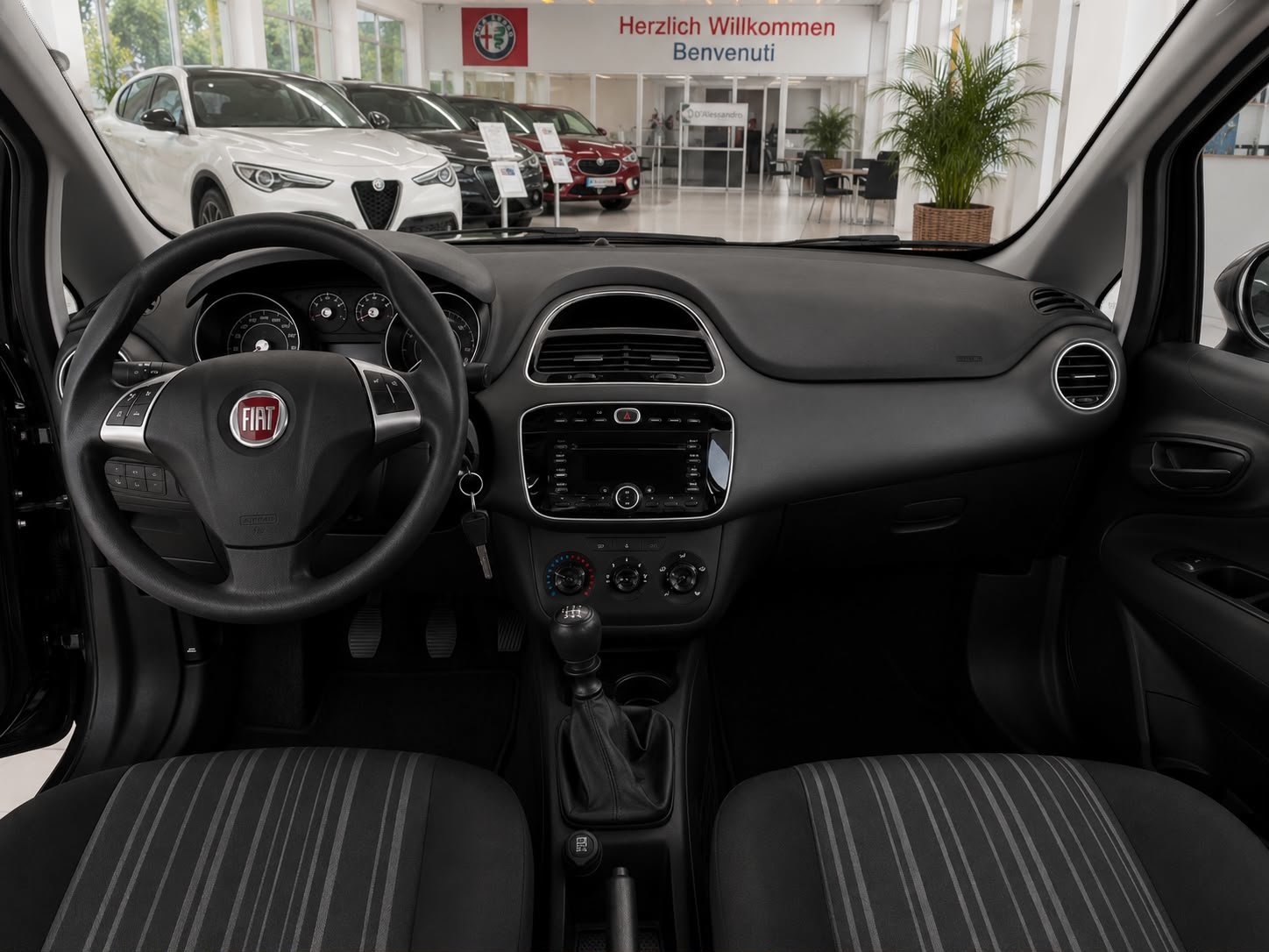 FIAT Punto Evo 1.4 MyLife, Benzina, Occasioni / Usate, Manuale - 6