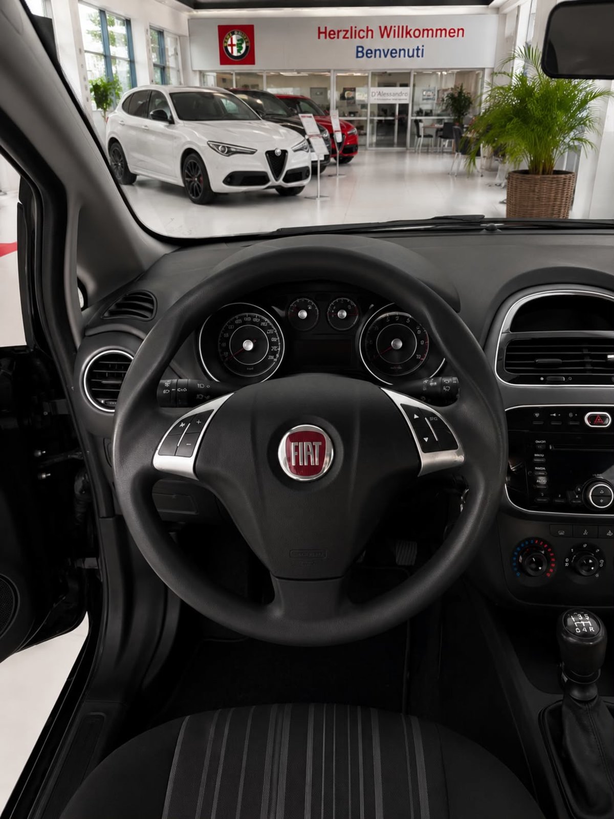FIAT Punto Evo 1.4 MyLife, Benzina, Occasioni / Usate, Manuale - 7