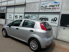 FIAT Punto 1.2 Cool Frisch ab MFK, Benzina, Occasioni / Usate, Manuale - 3