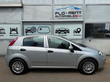 FIAT Punto 1.2 Cool Frisch ab MFK, Benzina, Occasioni / Usate, Manuale - 6