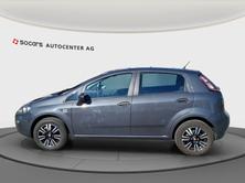 FIAT Punto 1.4 Pop Star // MFK 24.06.2025 // Zahnriemen + Wa, Petrol, Second hand / Used, Manual - 6