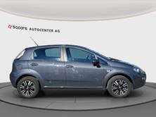 FIAT Punto 1.4 Pop Star // MFK 24.06.2025 // Zahnriemen + Wa, Petrol, Second hand / Used, Manual - 7