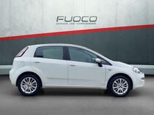 FIAT Punto 1.2 Pop Star, Essence, Occasion / Utilisé, Manuelle - 2