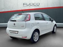 FIAT Punto 1.2 Pop Star, Essence, Occasion / Utilisé, Manuelle - 3