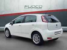 FIAT Punto 1.2 Pop Star, Essence, Occasion / Utilisé, Manuelle - 5