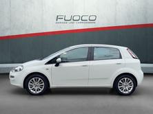 FIAT Punto 1.2 Pop Star, Essence, Occasion / Utilisé, Manuelle - 6