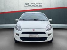 FIAT Punto 1.2 Pop Star, Essence, Occasion / Utilisé, Manuelle - 7