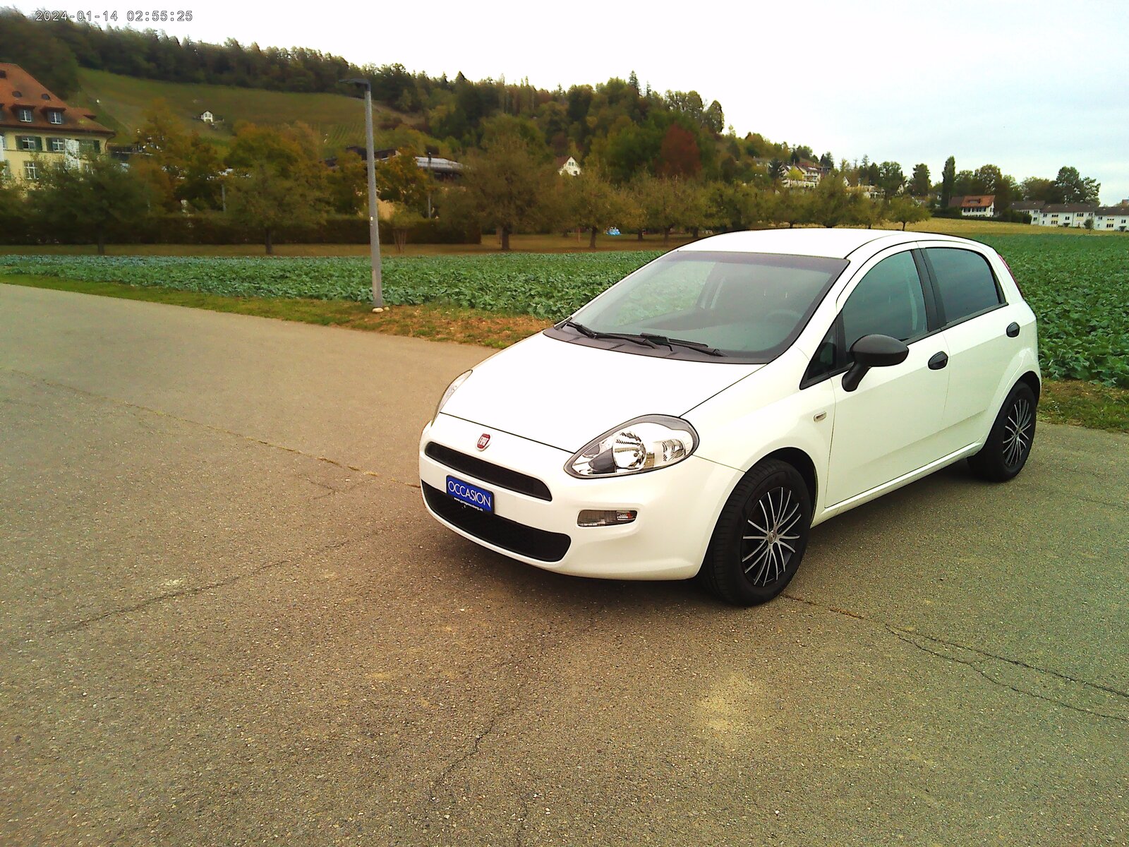 FIAT Punto 1.2 Pop Star, Benzin, Occasion / Gebraucht, Handschaltung - 2