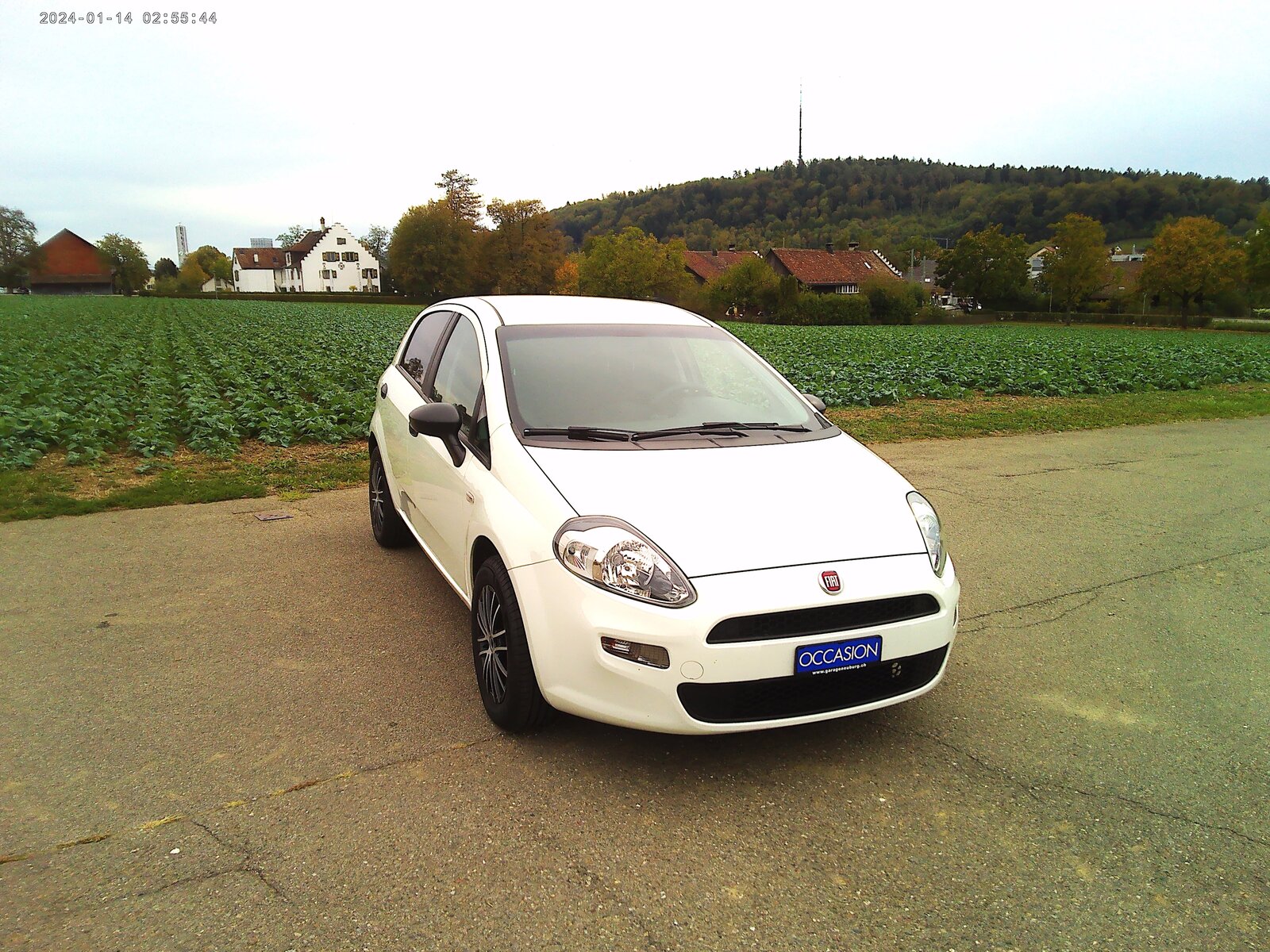 FIAT Punto 1.2 Pop Star, Benzin, Occasion / Gebraucht, Handschaltung - 3