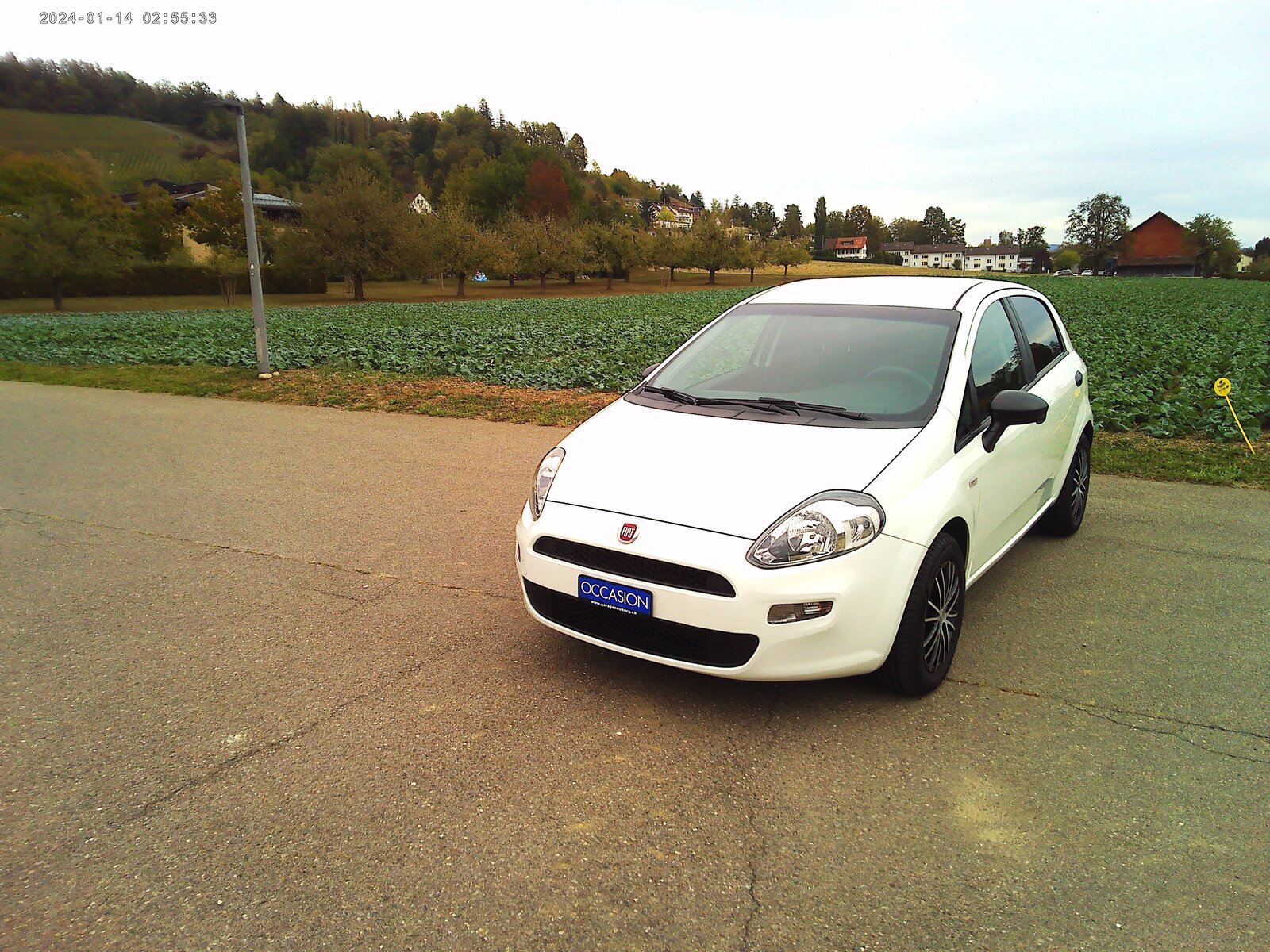 FIAT Punto 1.2 Pop Star, Benzin, Occasion / Gebraucht, Handschaltung - 4