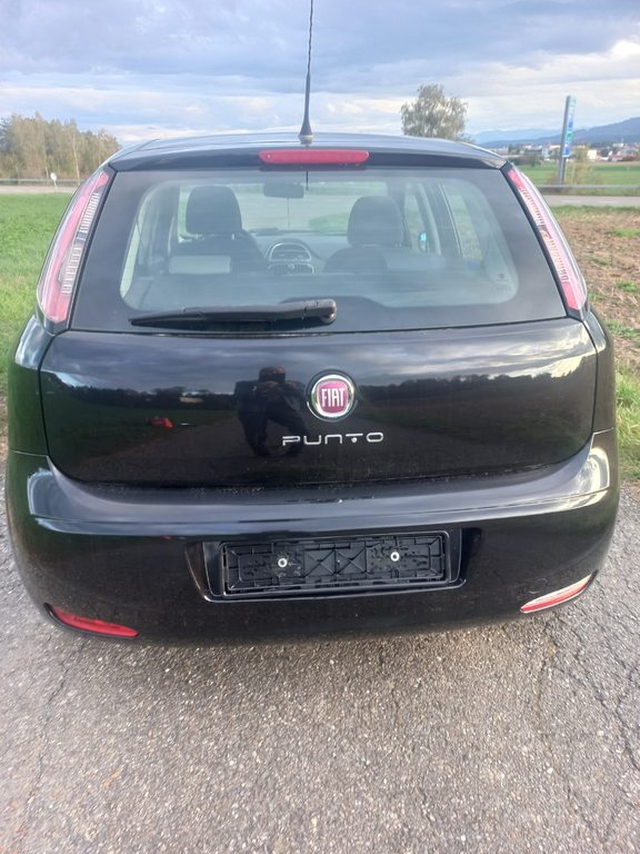 FIAT Punto 1.2 8V Pop S/S, Essence, Occasion / Utilisé, Manuelle - 2