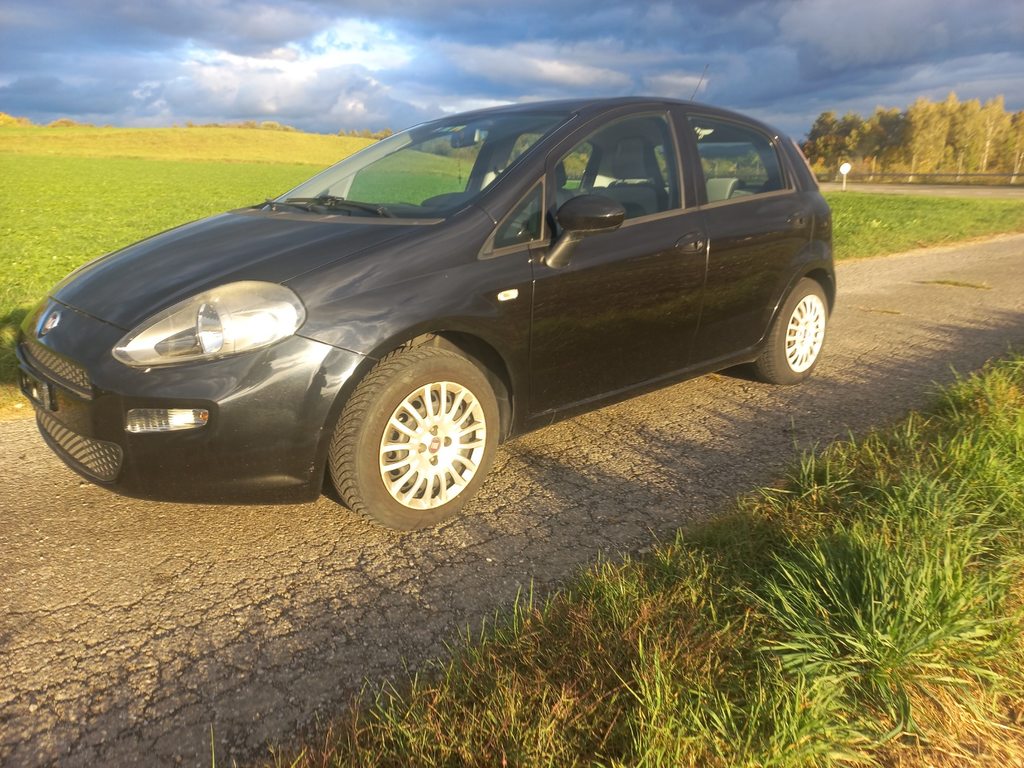 FIAT Punto 1.2 8V Pop S/S, Essence, Occasion / Utilisé, Manuelle - 4