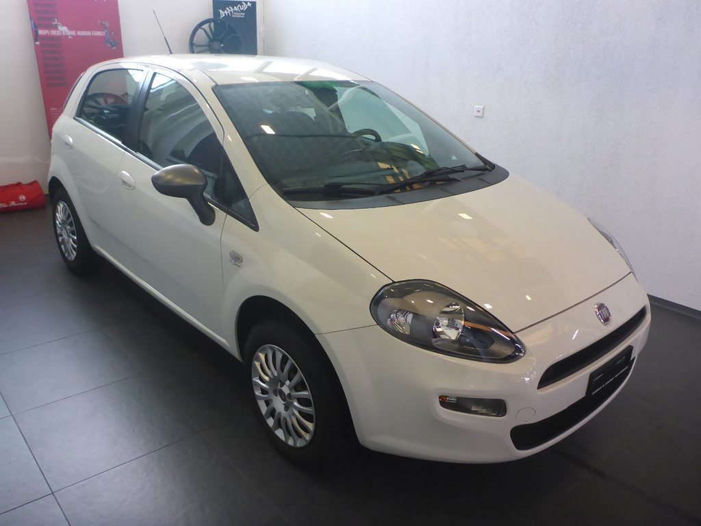 FIAT Punto 1.2 8V Young, Petrol, Second hand / Used, Manual - 5