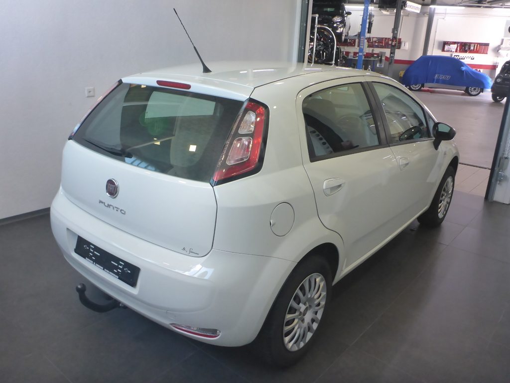 FIAT Punto 1.2 8V Young, Petrol, Second hand / Used, Manual - 7