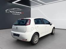 FIAT Punto 1.2 8V Pop Star S/S, Benzin, Occasion / Gebraucht, Handschaltung - 3