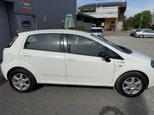 FIAT 1.2 8V Young, Petrol, Second hand / Used, Manual - 2