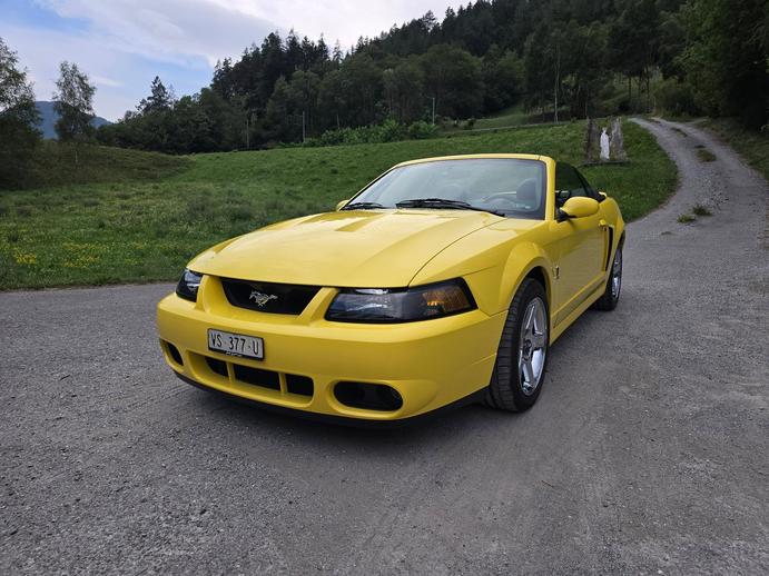 FORD Cobra SVT Terminator 400 PS Compressor, Essence, Occasion / Utilisé, Manuelle