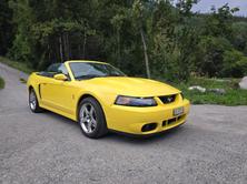 FORD Cobra SVT Terminator 400 PS Compressor, Essence, Occasion / Utilisé, Manuelle - 3